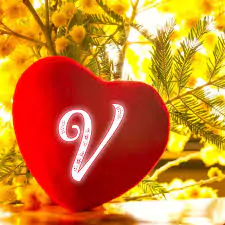 v name love wallpaper